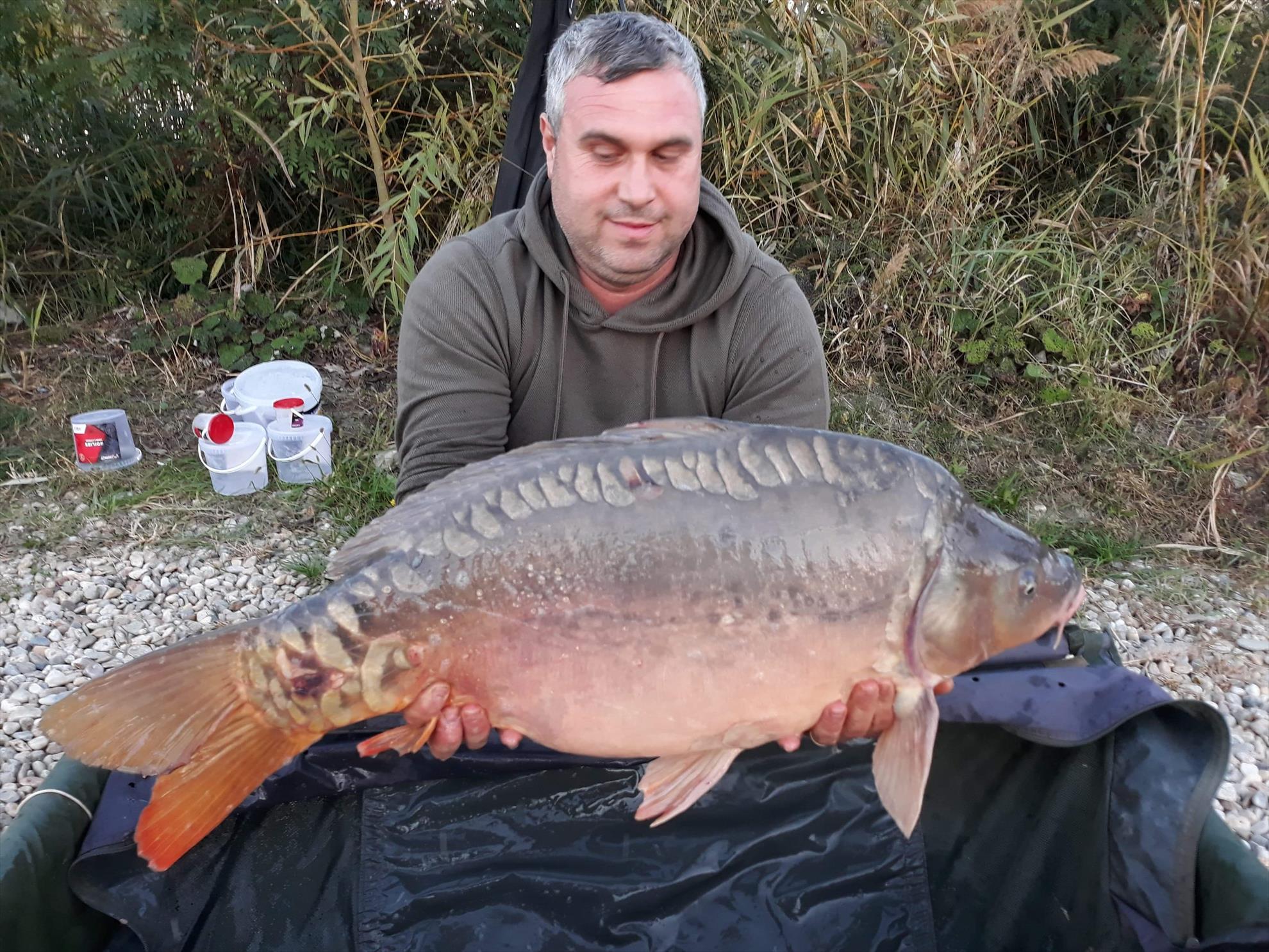 Varlaam 2018 oct - received1389613134506319.jpeg